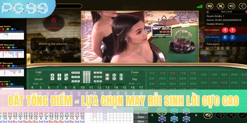 Bắt tổng điểm - Lựa chọn may rủi sinh lời cực cao