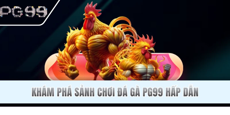 Tìm hiểu chuyên mục đá gà PG99