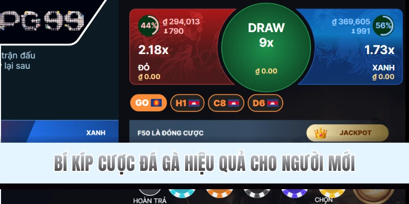 Mẹo cược đá gà PG99 hiệu quả cho newbie